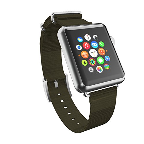 Incipio Smartwatch Replacement Band For Apple Watch 42mm - Green/Silver Buckle