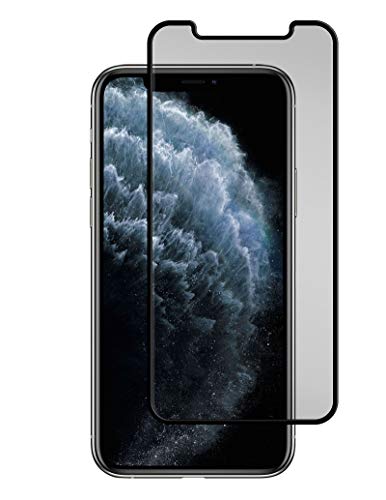 Gadget Guard - Black Ice Cornice Flex Screen Protector For Apple Iphone 11 Pro/Xs/X - Clear, Ggbifec208ap04a